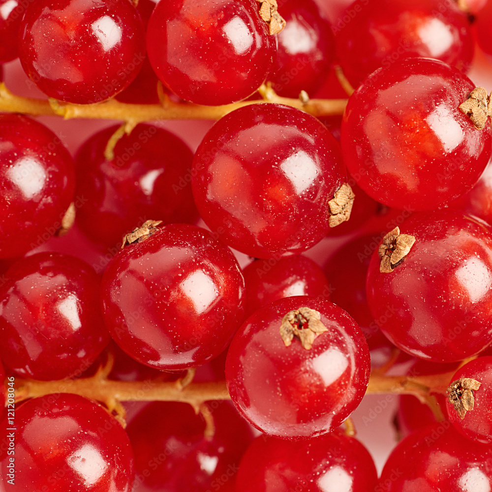 Red Currant as texture background top view Red Currant as texture background top view