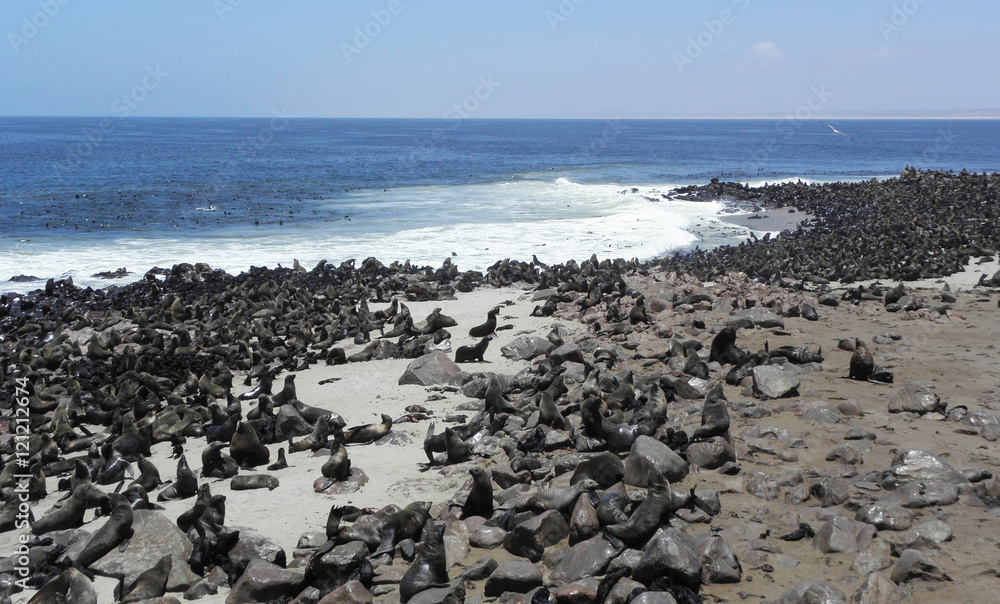 Cape Cross, Namibia