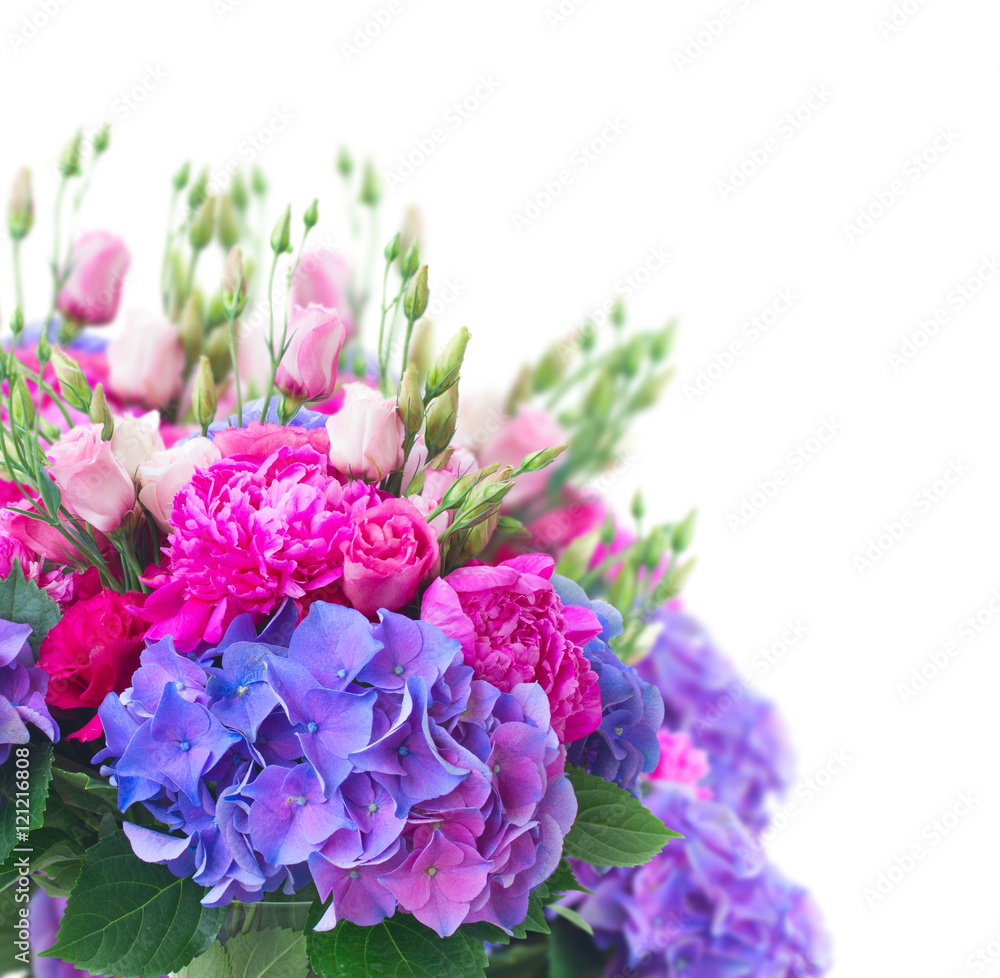 Bright pink and blue flowers