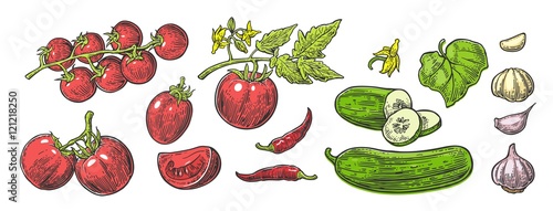 Cucumbers, Garlic, Chili and Tomato - whole, half, slices, leaf and flower. 