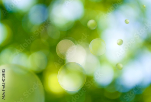 image of natural green background closeup