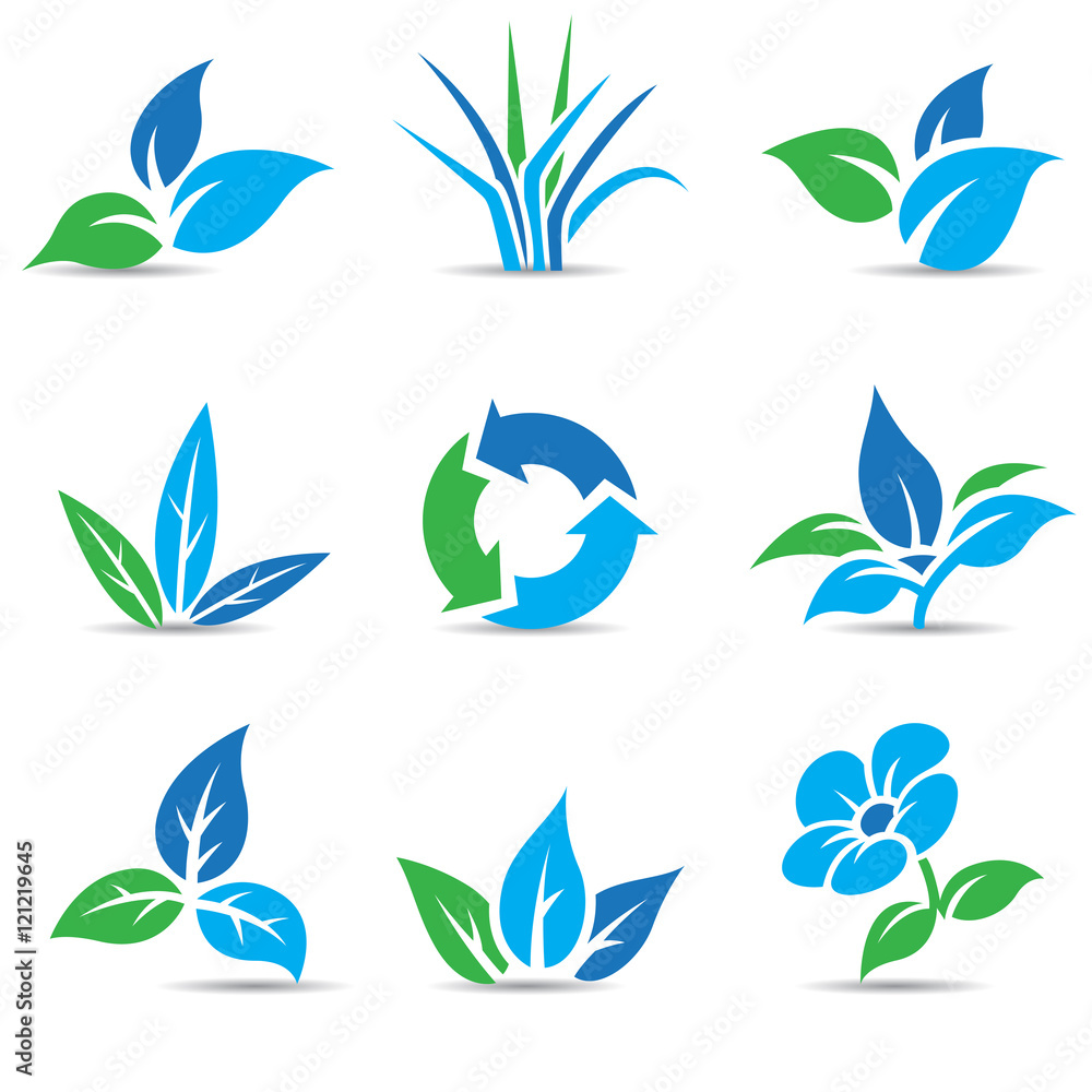Fototapeta premium Blue and Green Leaves isolated on white