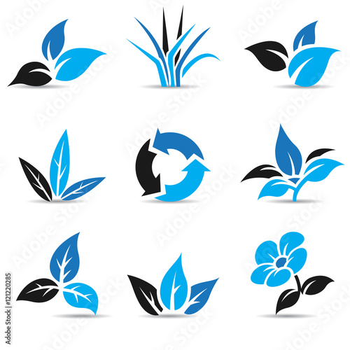 Blue and Black Leaves isolated on white