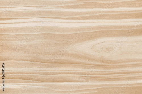 Wood texture. Lining boards wall. Wooden background pattern. Showing growth rings. light spruce  pine