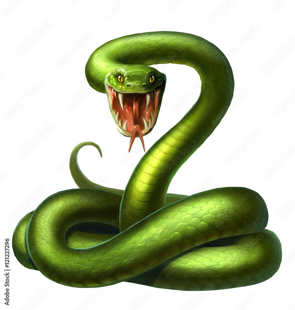 snake snake