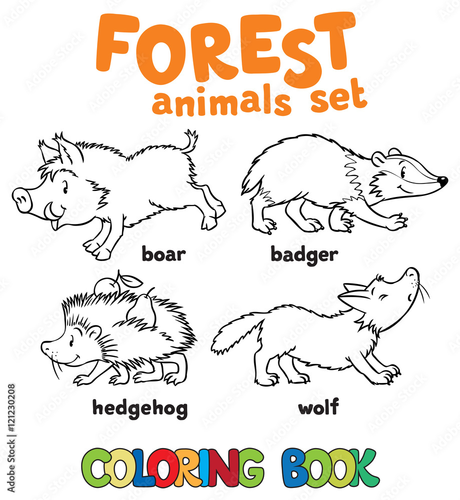 Forest animals coloring book Stock Vector | Adobe Stock