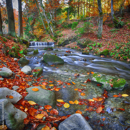 rapid mountain river in autumn