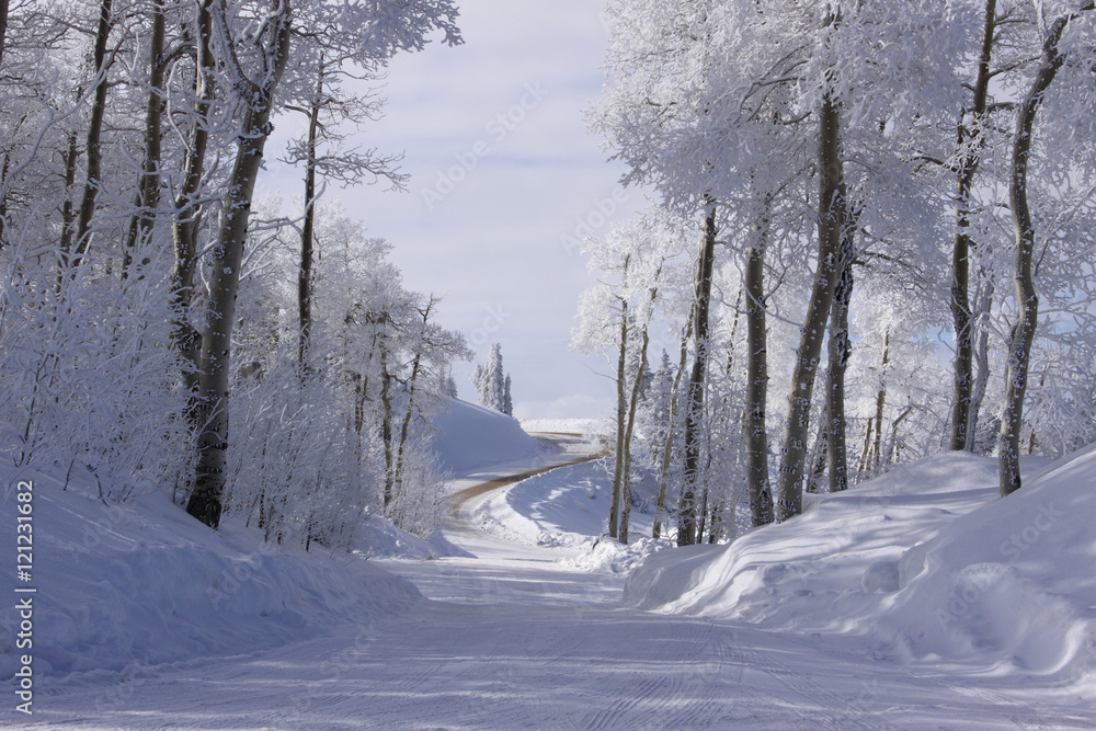 Obraz premium Winding Winter Road