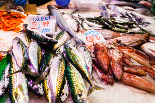 Canvas Print A long counter with various fish and shellfish in Boqueria market