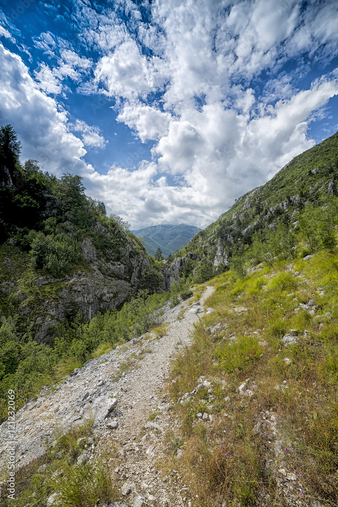 Hiking trail in Carpathian mountains
