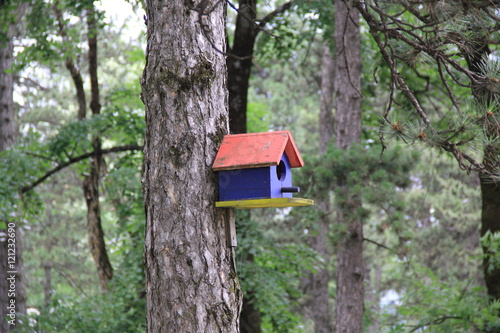 Bright wooden red and blue birdhouse mounted on a tree in the green forest