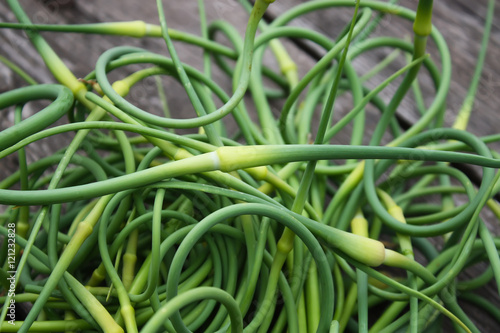 Garlic green shoots