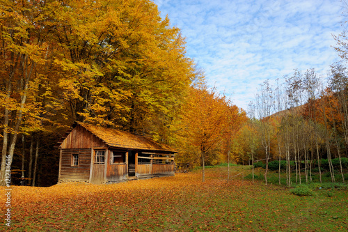 Alone house in autumn mountain © byrdyak