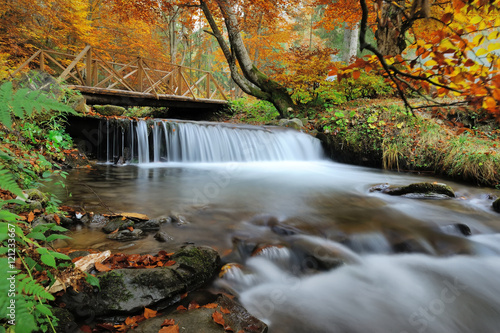 Fototapeta Naklejka Na Ścianę i Meble -  Autumn forest waterfall