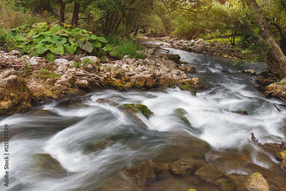 Gradac river gorge.Long exposure of white water rapids and waves with rocks and moss