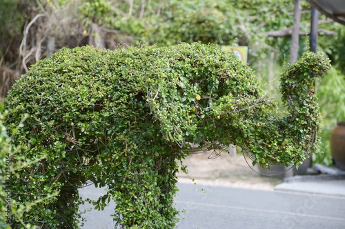 green elephant, dwarf trees