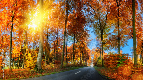 Autumn landscape with country road in orange tone. Nature backgr