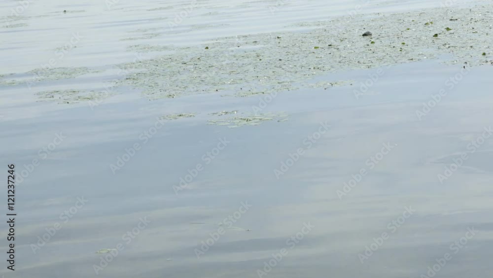 Surface of clear river water relaxing waves spreading 4K 2160p 30fps UltraHD footage - Tranquil scene of river reflective blue water texture 4K 3840X2160 UHD video Surface of clear river water relaxing waves spreading 4K 2160p 30fps UltraHD footage - Tranquil scene of river reflective blue water texture 4K 3840X2160 UHD video