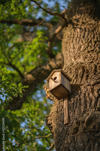 Wooden birdhouse hanging on a tree in summer day