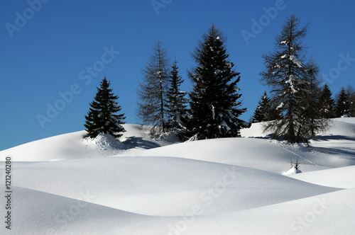 Spectacular Winter scene at the San Pellegrino pass in the Dolomites in the Val di Fiemme, Trento, Italy.