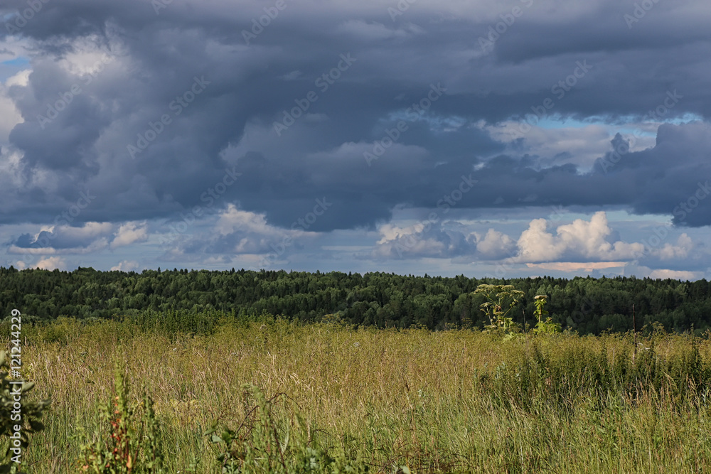 Obraz premium lanscape meadow sky cloud