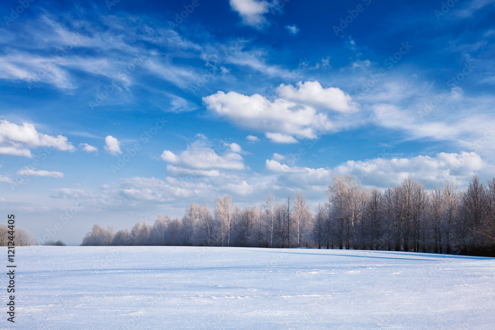 Winter forest landscape with snow Winter forest landscape with snow