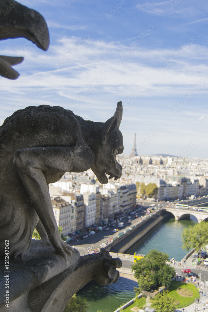 Vista de París y gárgolas desde Notre Dame