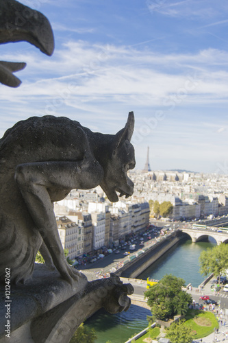 Vista de París y gárgolas desde Notre Dame