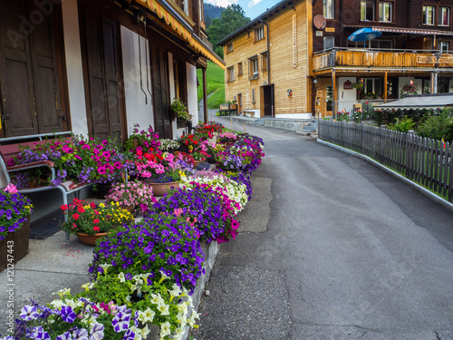 Fototapeta Naklejka Na Ścianę i Meble -  Paseando por Mürren ,cerca de Schilthorn en Suiza , detalle decorativo de flores por las calles OLYMPUS DIGITAL CAMERA