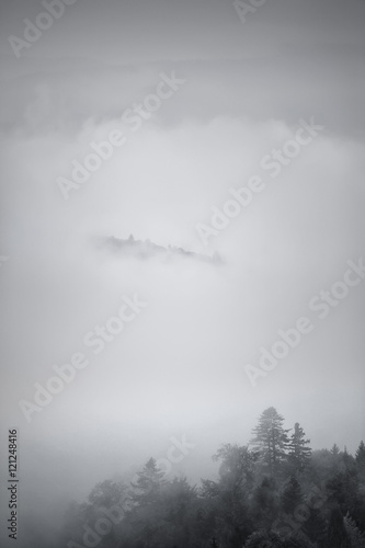Autumn foggy mountain scene. Fall rain and mist