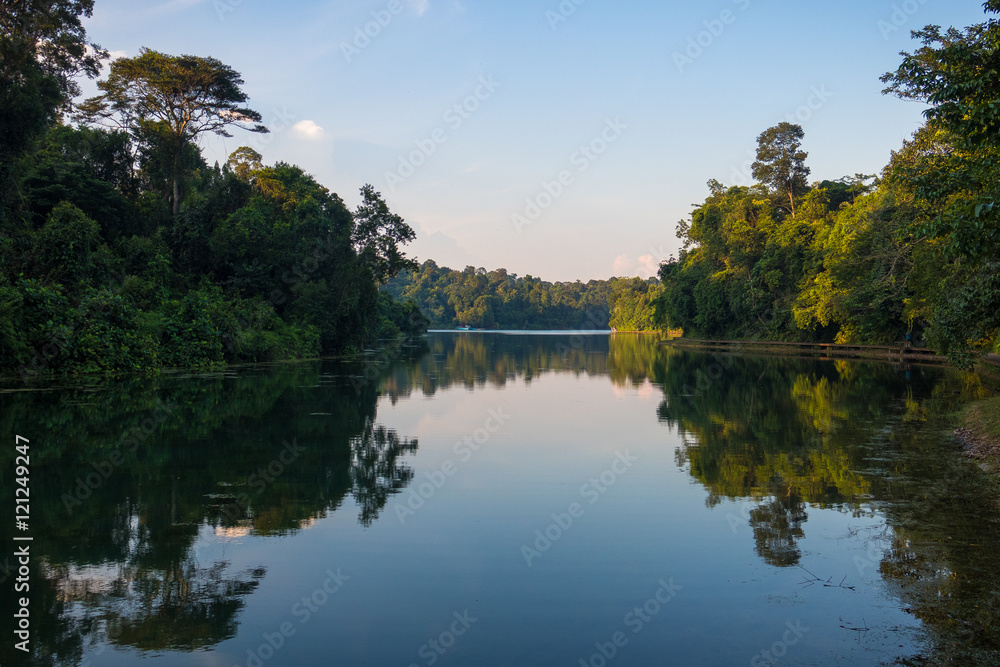 Afternoon reflection at Macritchie Reservoir Afternoon reflection at Macritchie Reservoir