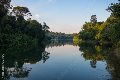 Afternoon reflection at Macritchie Reservoir