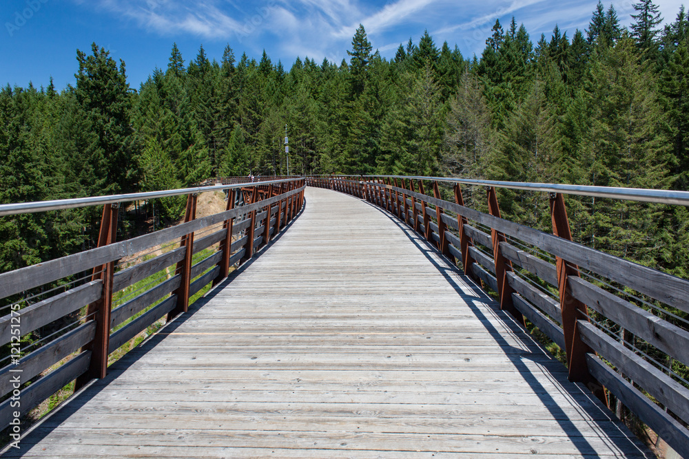 Walkway Across Former Railway Bridge