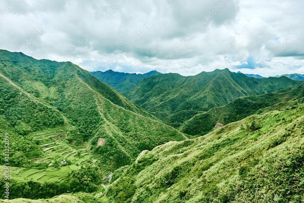Naklejka premium rice paddy terrace fields Philippines