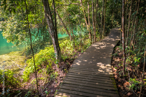 Emerald Pool Water and Jungle Hiking Path - Macritchie Reservoir Park  Singapore