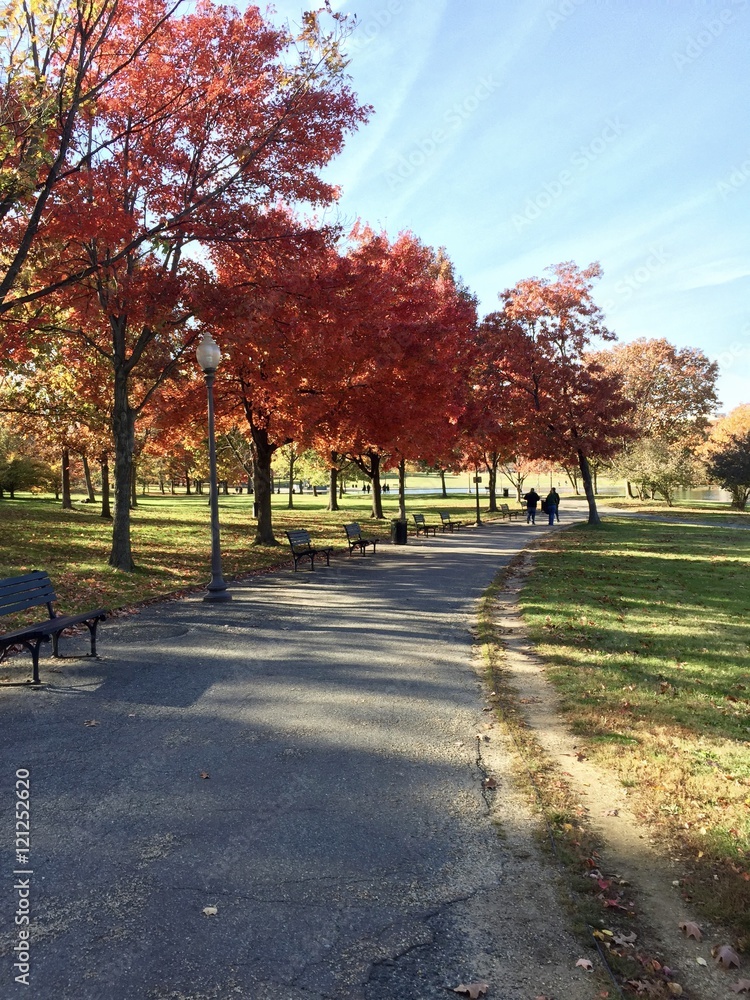Fall Stroll Fall Stroll