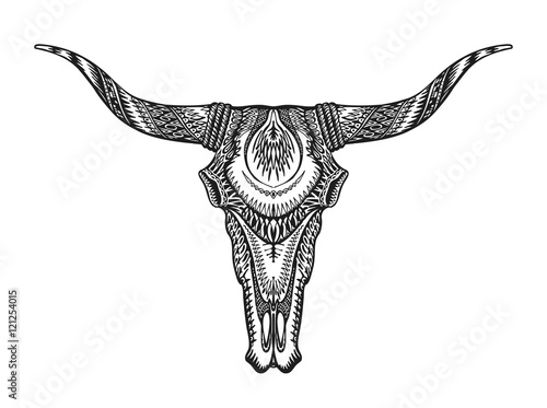 Decorative Indian bull skull. Hand drawn vector illustration