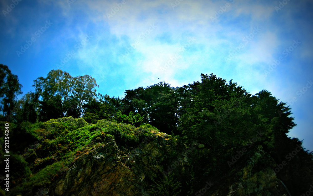 Obraz premium Bird in the Sky