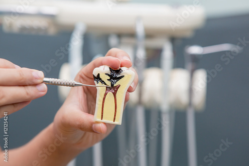 Fototapeta Naklejka Na Ścianę i Meble -  Dental Teeth Model and dental tool