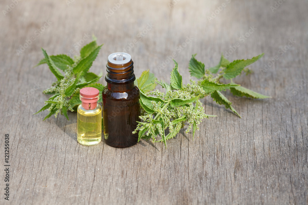 nettle essential oil container nettle essential oil container