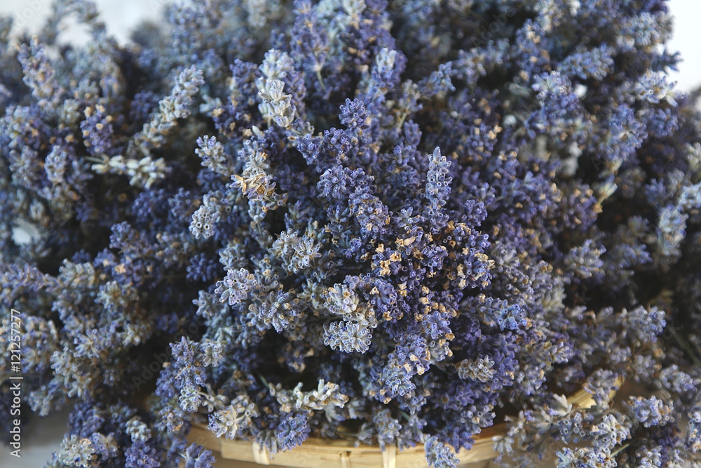 Dried lavender Dried lavender