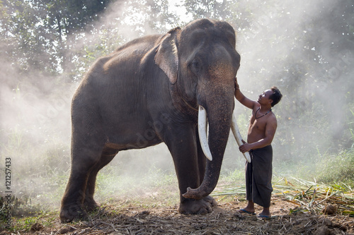 Asian man With his big elephant photo