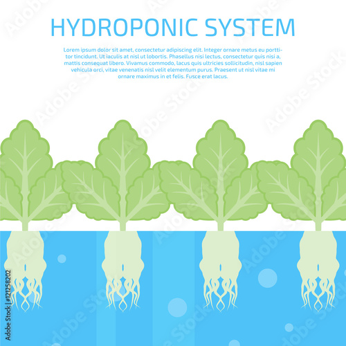 hydroponic system concept