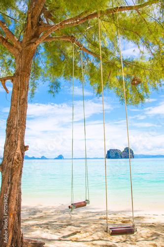 Swing hanging under the tree © tapong117