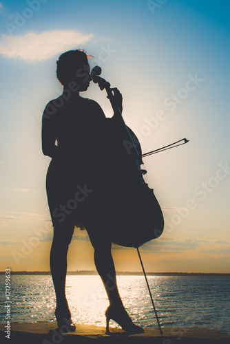 Εκτύπωση καμβά cellist