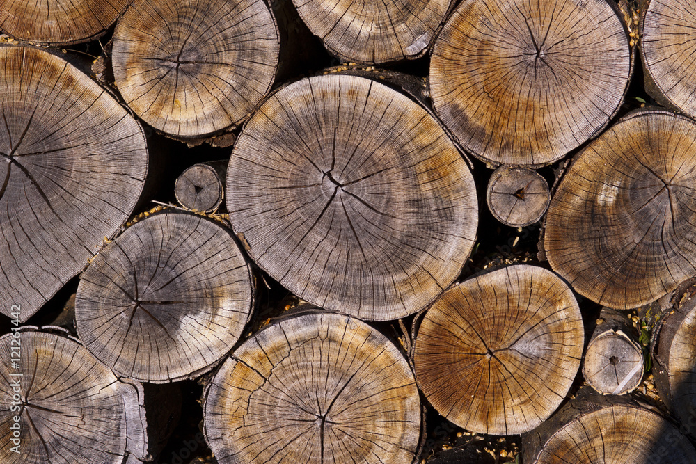 Wooden cut texture Wooden cut texture