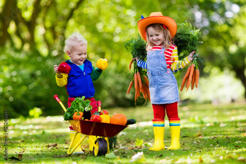 Kids picking vegetables on organic farm