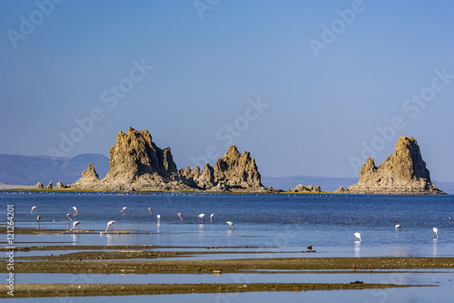 Lake Abbe Landscape with Flamingos and Volcanic rock formations, Djibouti photo