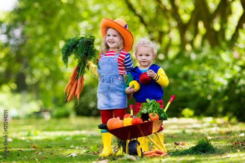 Kids picking vegetables on organic farm