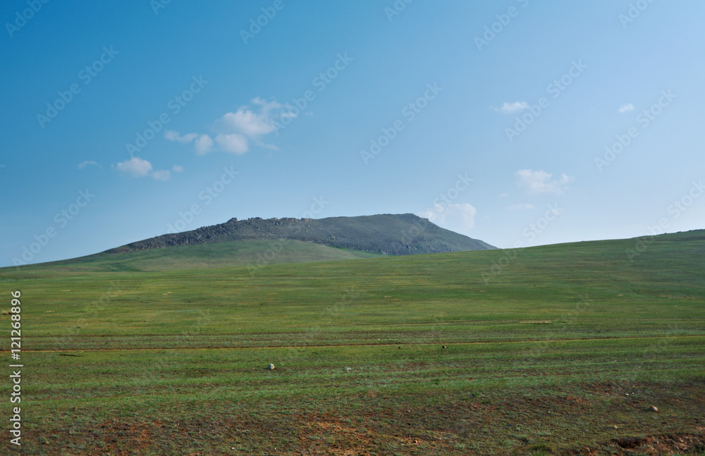 Fototapeta premium Steppe on a background of mountains